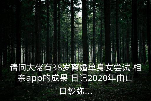 請問大佬有38歲離婚單身女嘗試 相親app的成果 日記2020年由山口紗彌...