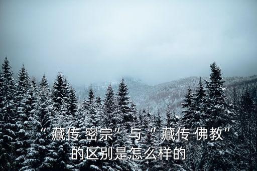 “ 藏傳 密宗”與“ 藏傳 佛教”的區(qū)別是怎么樣的