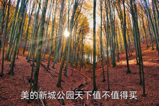 美的新城公園天下值不值得買