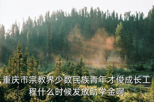 重慶市巴渝杯申報時間，哪位仁兄知道今年重慶什么時候時候有舉行比賽的