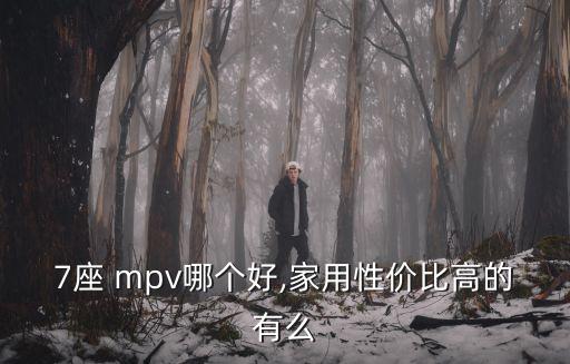 mpv家用車推薦,第二類車型比較適合家庭用車需求