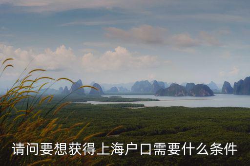 高新技術企業落戶上海條件要求，請問要想獲得上海戶口需要什么條件