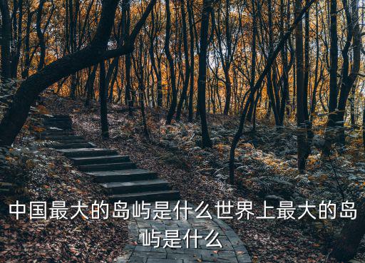 中國(guó)最大的島嶼，中國(guó)最大的島嶼是什么