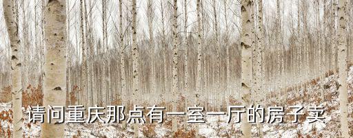 重慶市內一室一廳樓盤，介紹幾個好點的重慶主城最好是江北的小戶型一室一廳的樓盤
