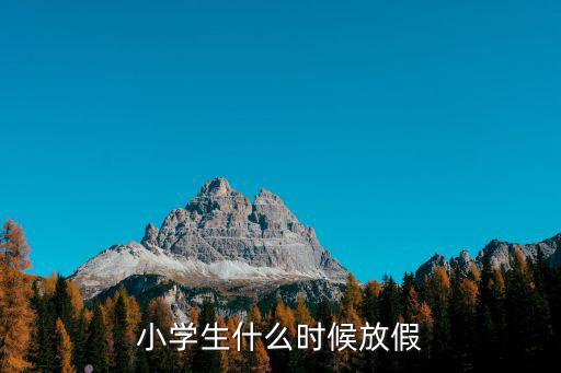小學生什么時候放假