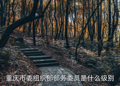 重慶市委組織部部務(wù)委員是什么級(jí)別