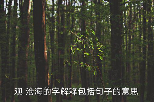 觀 滄海的字解釋包括句子的意思