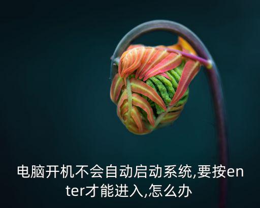 電腦開(kāi)機(jī)不會(huì)自動(dòng)啟動(dòng)系統(tǒng),要按enter才能進(jìn)入,怎么辦
