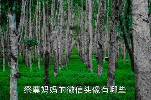 祭奠媽媽的微信頭像有哪些