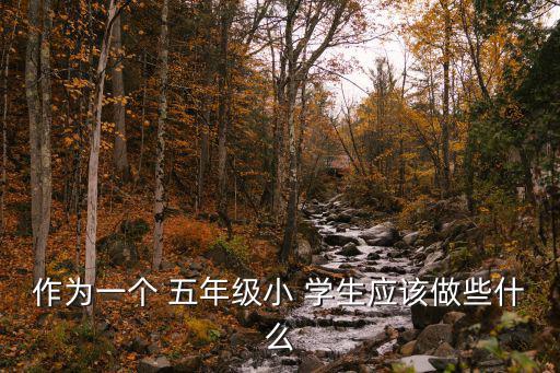 作為一個 五年級小 學生應該做些什么