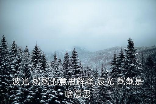 粼粼是什么意思,第二集:荷塘清水蕩漾鳥兒掠過博光湖