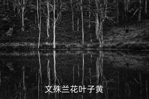 文殊蘭花，這種文心蘭花不太好看叫什么名字