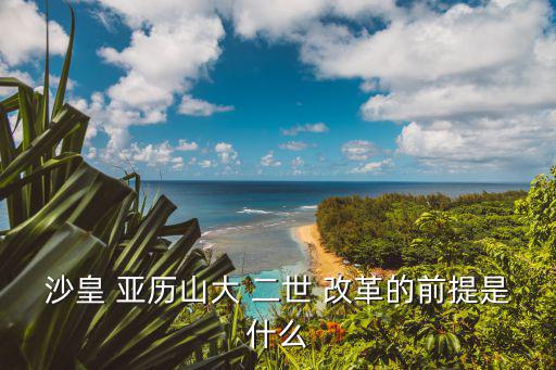 亞歷山大二世改革,沙皇1861年改革是資產(chǎn)階級性質(zhì)的改革