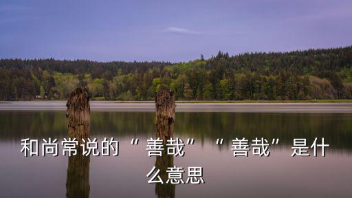 善哉,《召公十六年》:善哉，如你所說