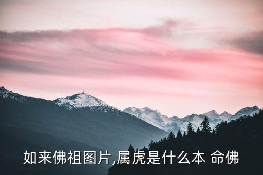 如來佛祖圖片,屬虎是什么本 命佛