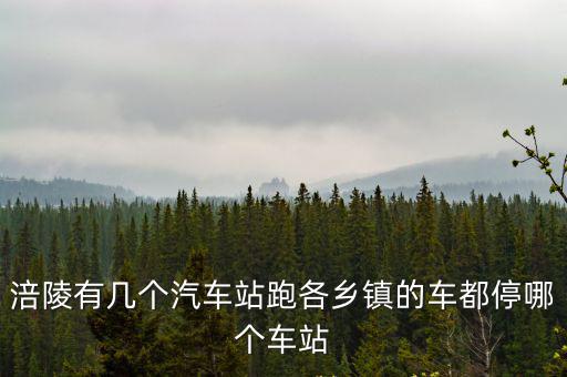 涪陵有幾個汽車站跑各鄉(xiāng)鎮(zhèn)的車都停哪個車站