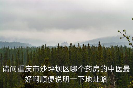 請問重慶市沙坪壩區哪個藥房的中醫最好啊順便說明一下地址哈