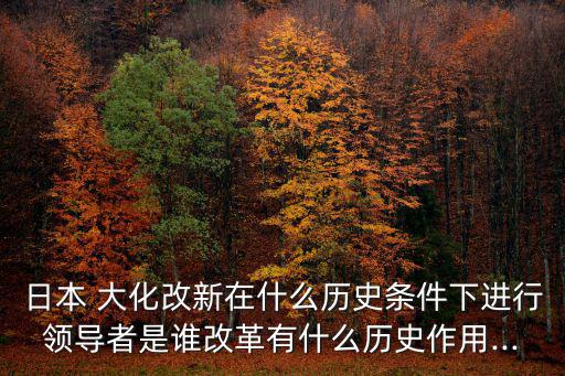 日本 大化改新在什么歷史條件下進行領導者是誰改革有什么歷史作用...