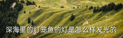 深海里的燈籠魚(yú)的燈是怎么樣發(fā)光的