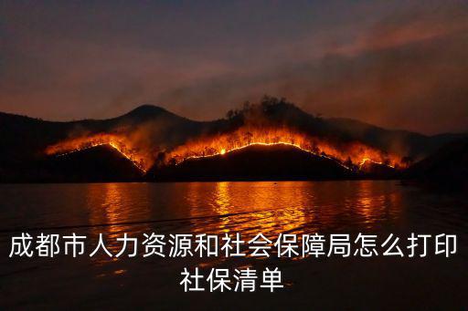 成都市人力資源和社會保障局怎么打印社保清單