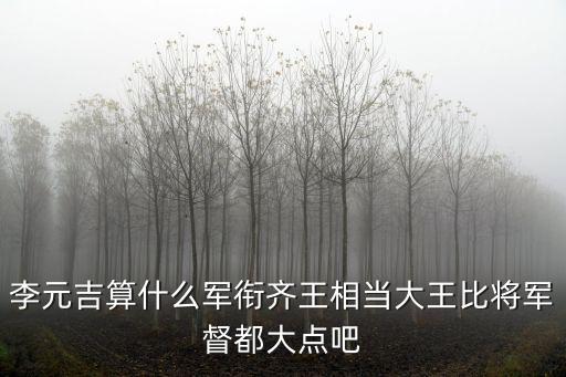 李元吉算什么軍銜齊王相當大王比將軍督都大點吧