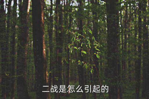  二戰是怎么引起的