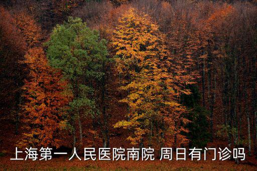 上海第一人民醫(yī)院南院 周日有門診嗎