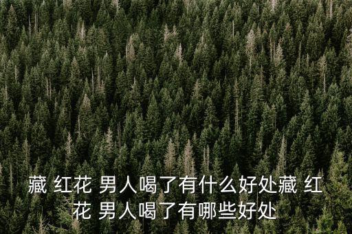 藏 紅花 男人喝了有什么好處藏 紅花 男人喝了有哪些好處
