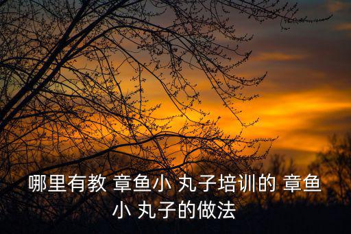 日船章魚小丸子,日本民間小吃章魚小丸子營養(yǎng)豐富又美味