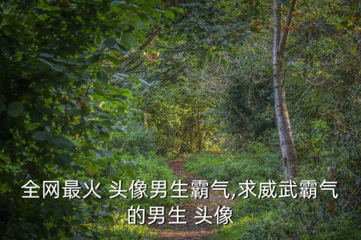 全網最火 頭像男生霸氣,求威武霸氣的男生 頭像
