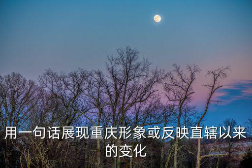 用一句話展現重慶形象或反映直轄以來的變化