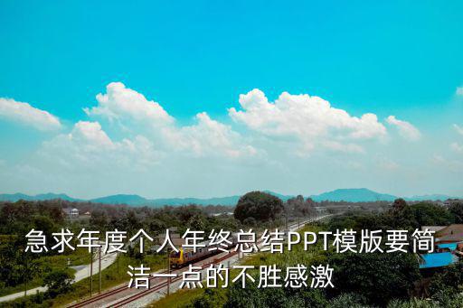 急求年度個(gè)人年終總結(jié)PPT模版要簡潔一點(diǎn)的不勝感激