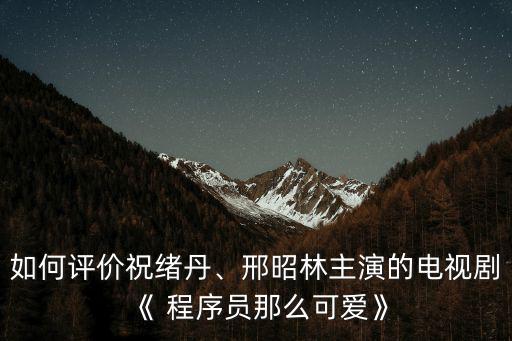 如何評價(jià)祝緒丹、邢昭林主演的電視劇《 程序員那么可愛》