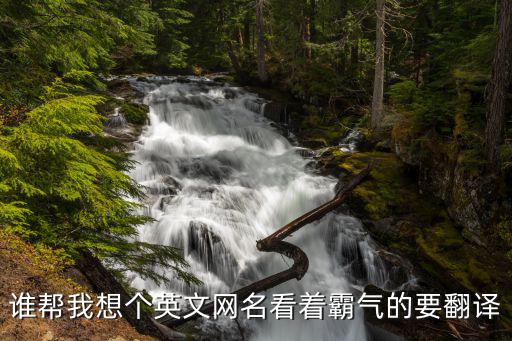 誰(shuí)幫我想個(gè)英文網(wǎng)名看著霸氣的要翻譯