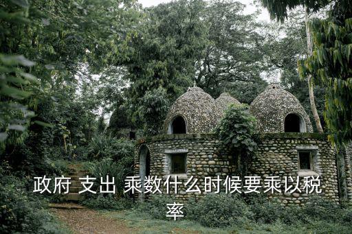 政府支出乘數,1政府支出乘數改變為kg政府