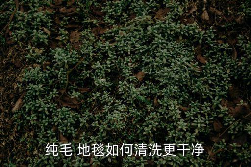 純毛 地毯如何清洗更干凈
