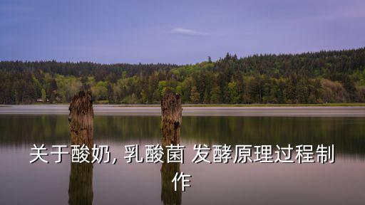 關于酸奶, 乳酸菌 發酵原理過程制作