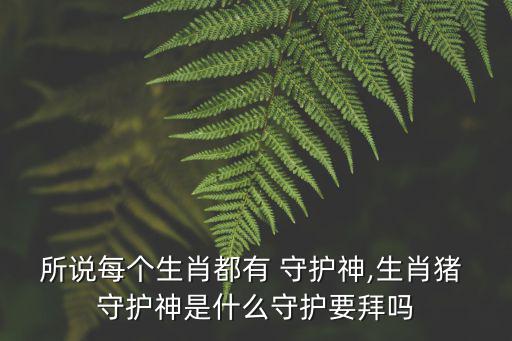 所說每個生肖都有 守護神,生肖豬 守護神是什么守護要拜嗎