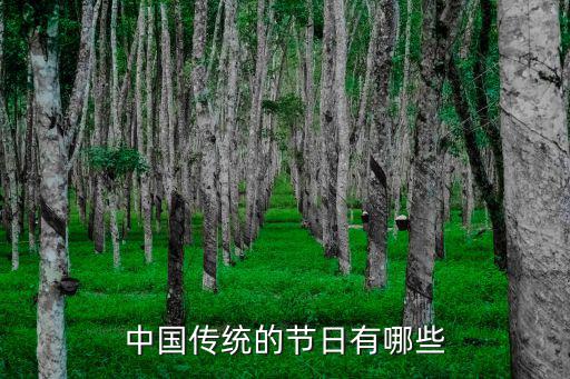 中國傳統的節日有哪些