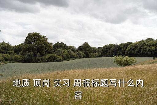 地質 頂崗 實習 周報標題寫什么內容