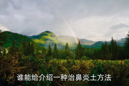 誰能給介紹一種治鼻炎土方法
