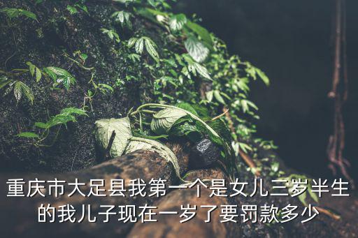 重慶市大足縣我第一個是女兒三歲半生的我兒子現在一歲了要罰款多少