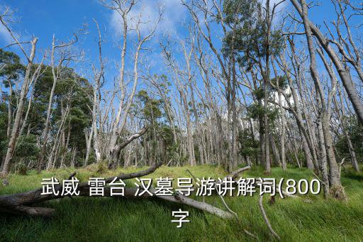 雷臺漢墓,甘肅省武威市雷臺漢墓出土十二燈