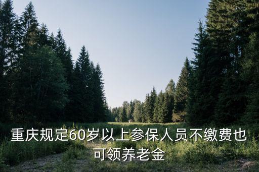 重慶規(guī)定60歲以上參保人員不繳費也可領(lǐng)養(yǎng)老金