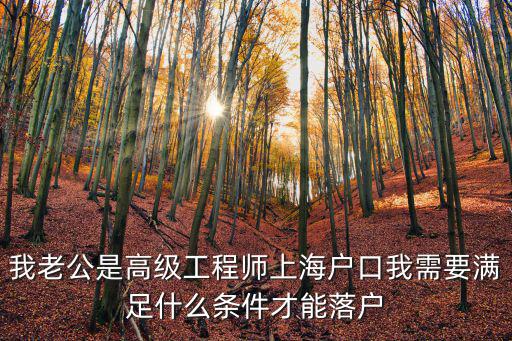 我老公是高級工程師上海戶口我需要滿足什么條件才能落戶