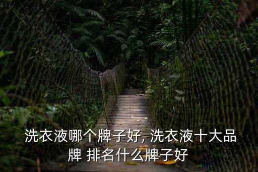 洗衣液排名前十,洗衣液十大品牌排名出爐立白排名前十