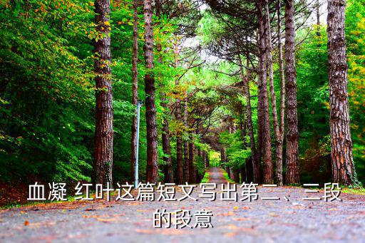  血凝 紅葉這篇短文寫出第二、三段的段意
