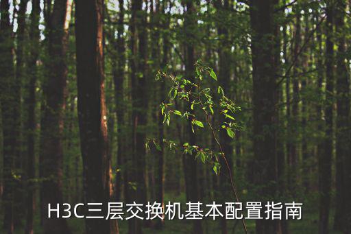 三層交換機(jī)配置，配置三層交換機(jī)trunk口的問題求大神幫個(gè)忙