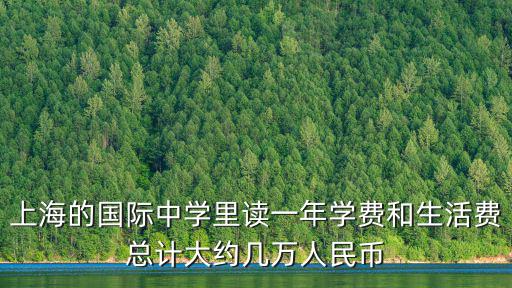 上海科橋國際高中學費多少，上海市高中本學期學費多少
