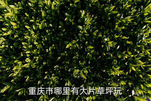 重慶市哪里有大片草坪玩